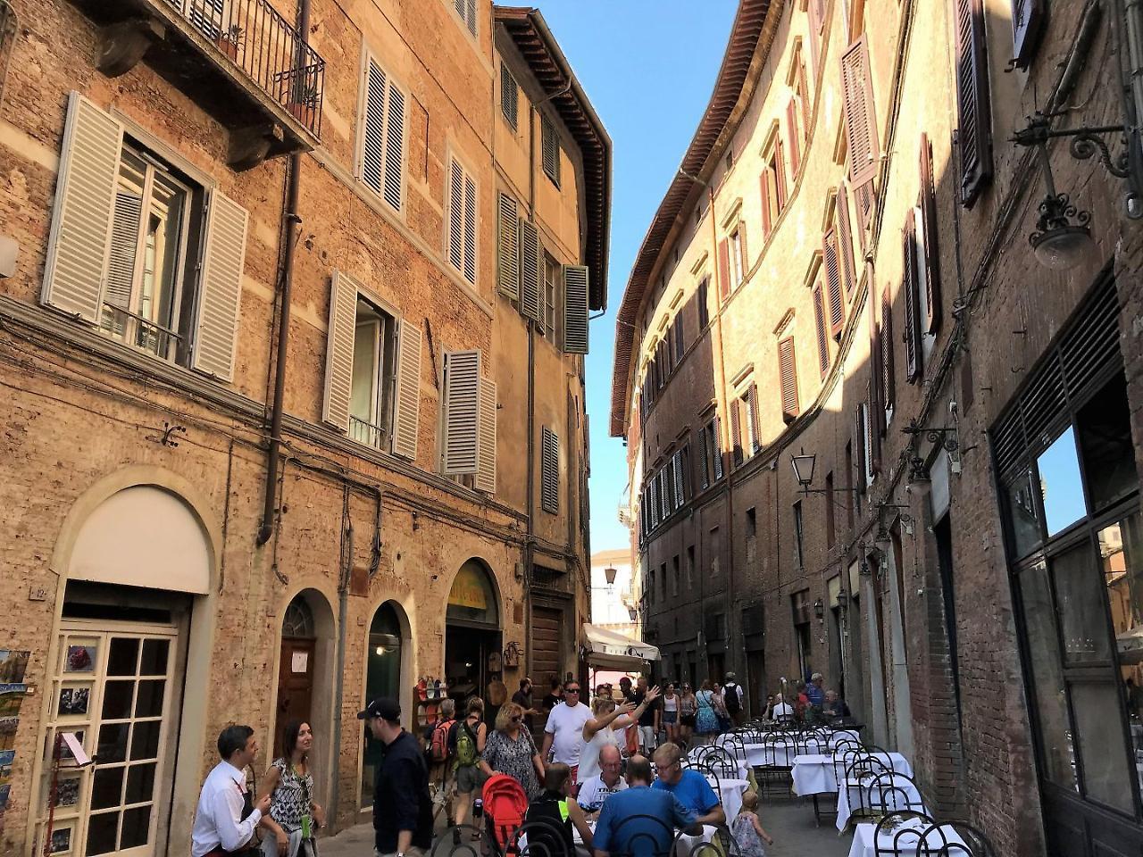 THE BLUE LODGE-cozy flat close to Piazza del Campo Siena Esterno foto