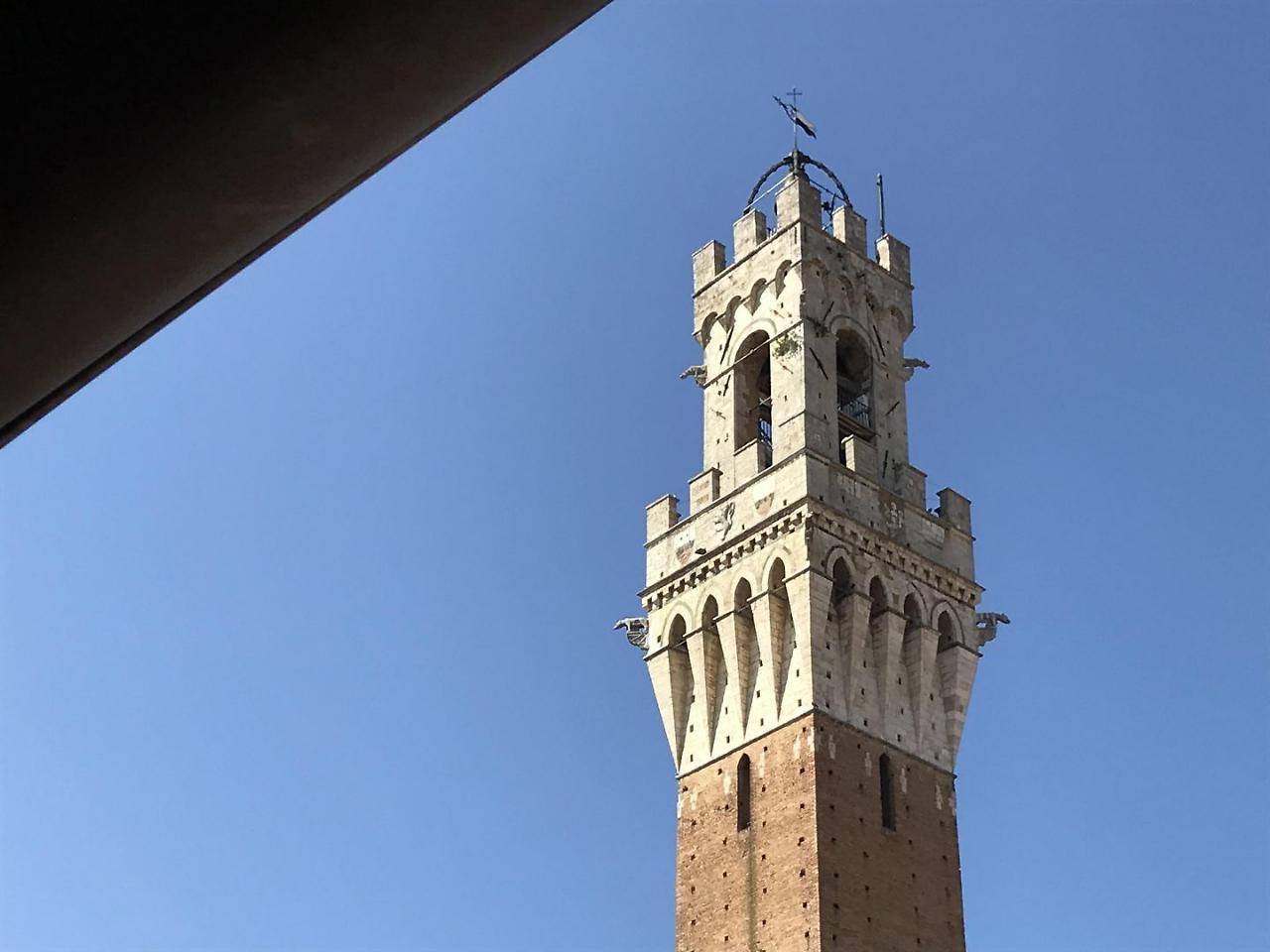 THE BLUE LODGE-cozy flat close to Piazza del Campo Siena Esterno foto